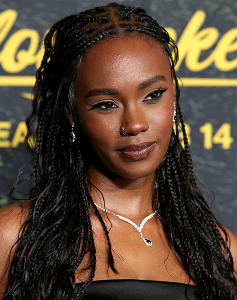 goddess braids halfup halfdown